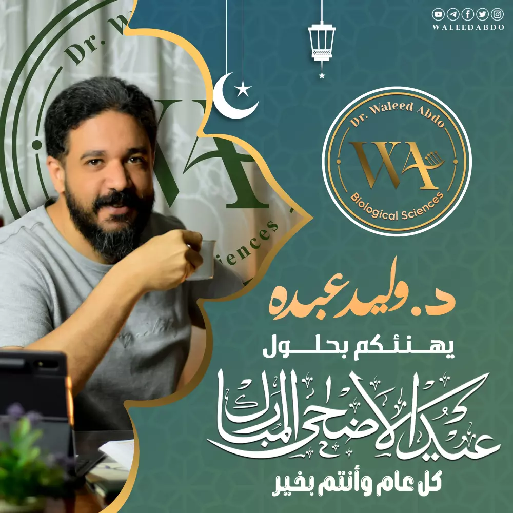 تصميم إعلان سوشيال (فيس بوك - تويتر - انستجرام