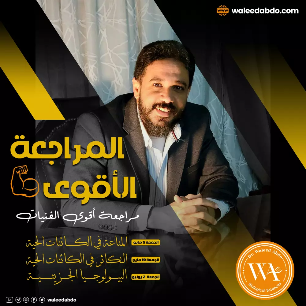 تصميم إعلان سوشيال (فيس بوك - تويتر - انستجرام