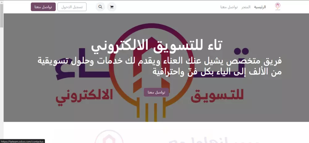 تصميم متجر الكتروني خاص للشركتك