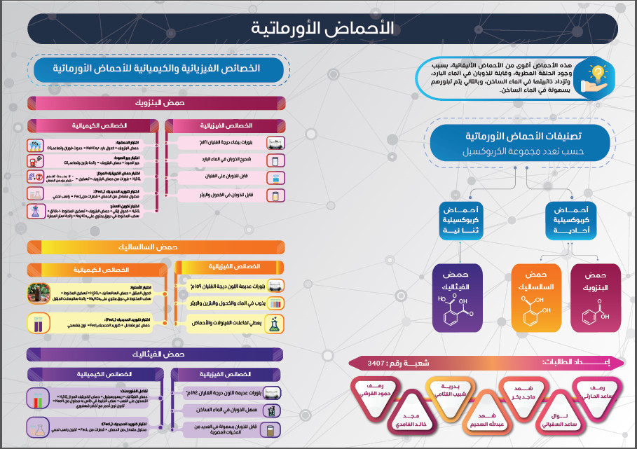 تصميم انفوجرافيك احترافي