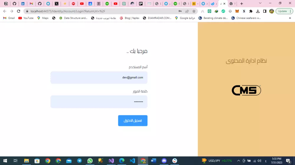 بناء وتطوير مواقع ويب