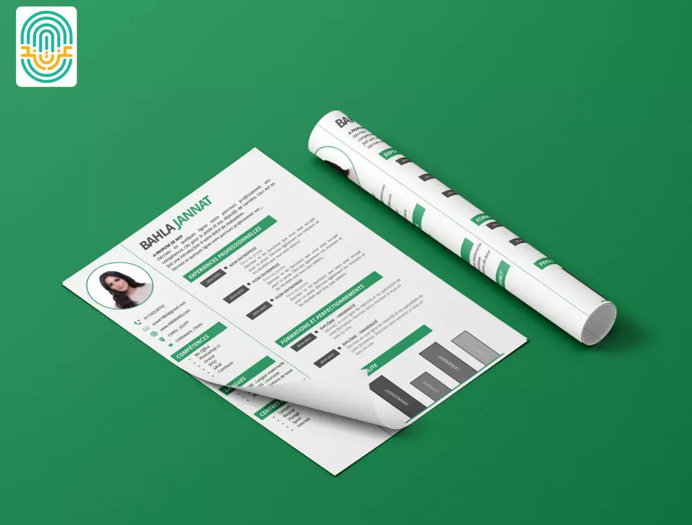 تصميم سيرة ذاتية CV احترافية