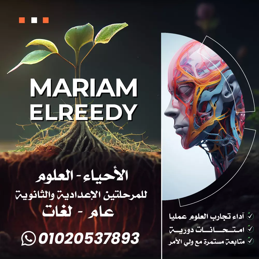 تصميم بوست سوشيال ميديا