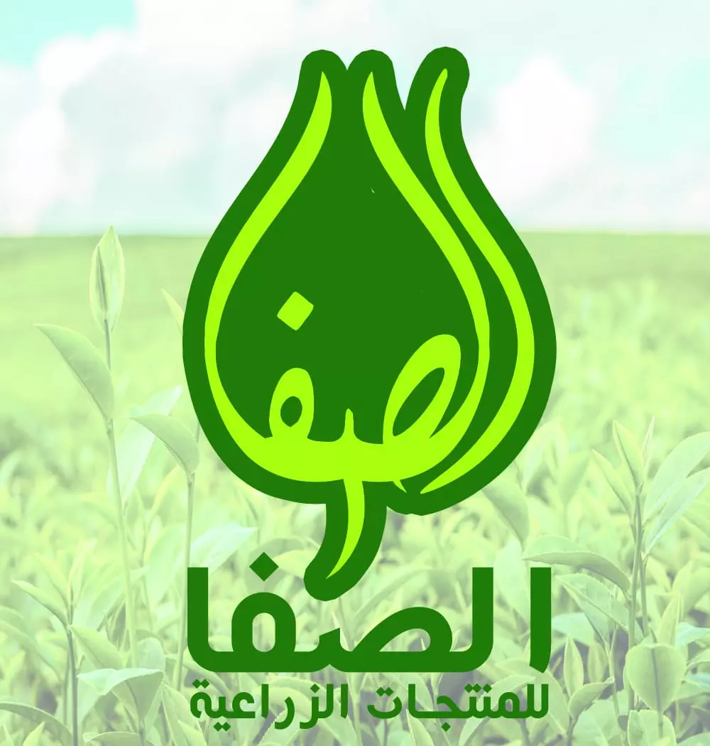 تصميم 2 شعار احترافي ب 5 دولار