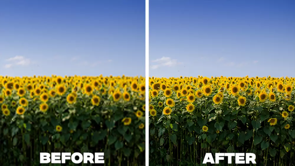 تعديل وتحسين للصور وترميمها بشكل احترافي