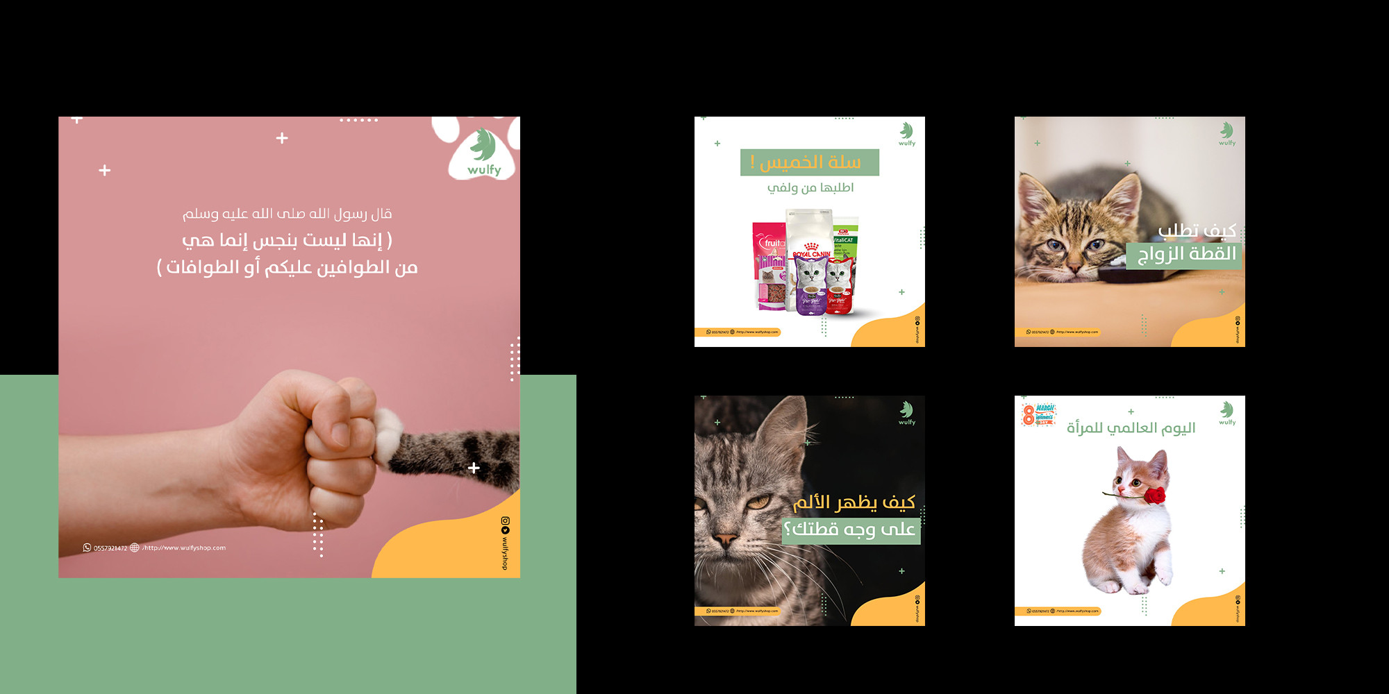 تصاميم سوشيال ميديا احترافية