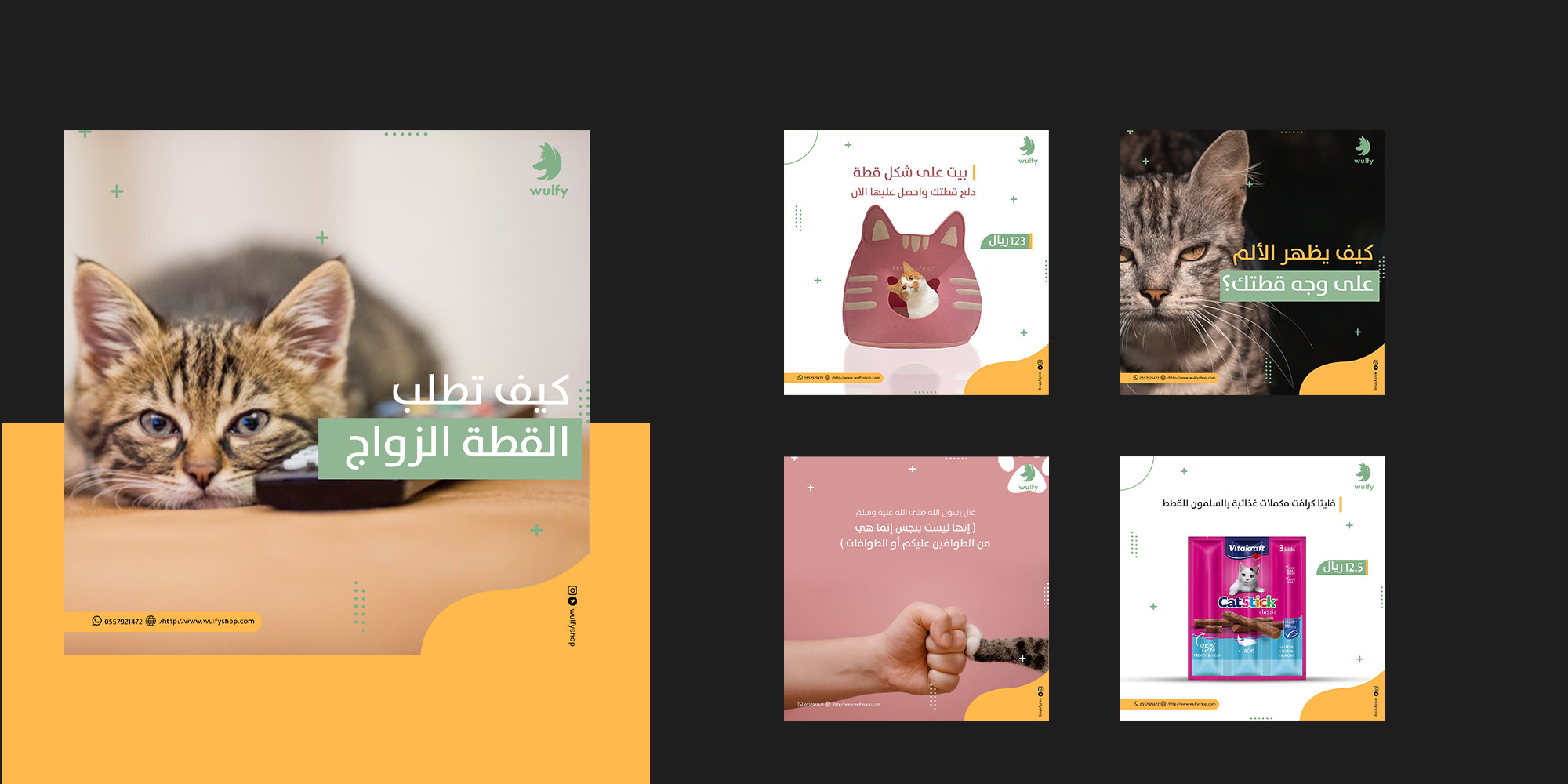 تصاميم سوشيال ميديا احترافية