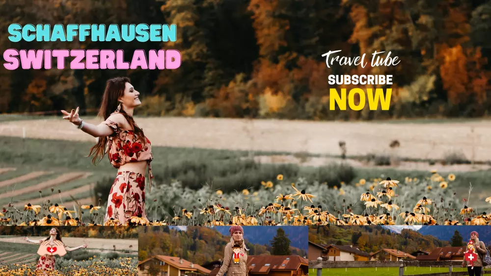 أدارة قنوات اليوتيوب