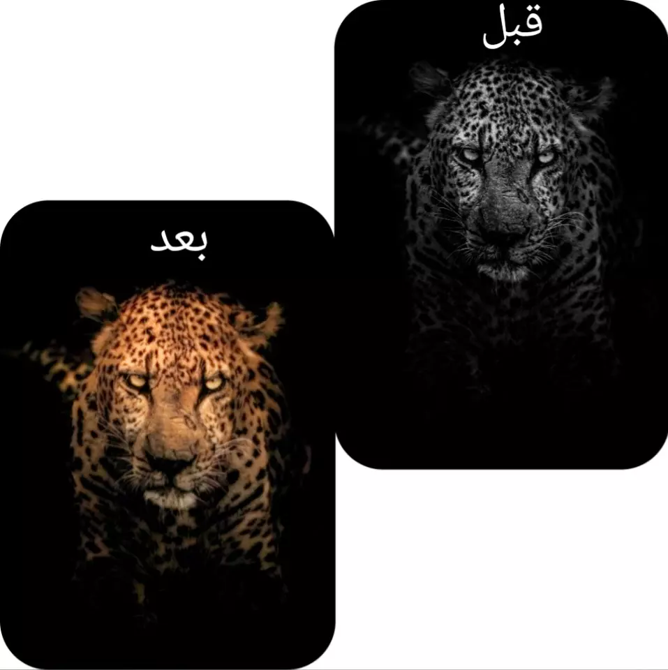 تعديل احترافي للصور باستخدام الفوتوشوب