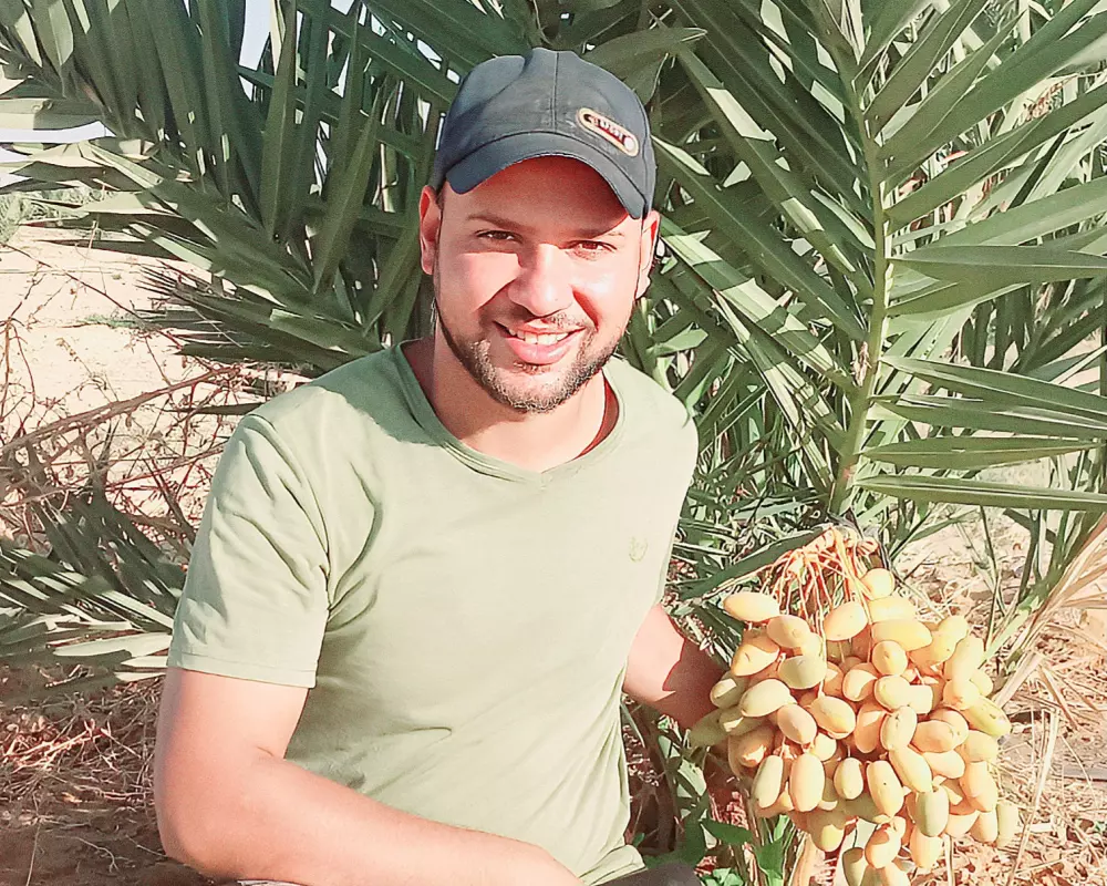 تقديم استشارات فنية و إدارية  لمزراع النخيل