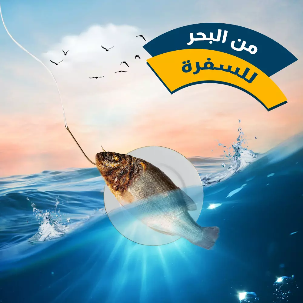 تصميم تصاميم سوشيال ميديا