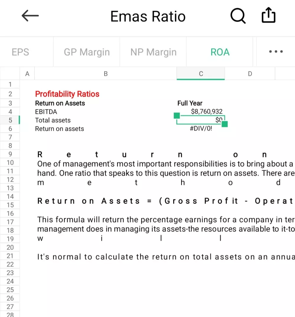 التحليل المالى باستخدام الاكسيل بالانجليزية
