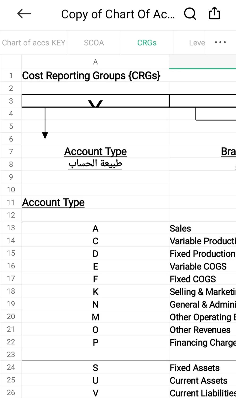 محاسب عن بعد للمنشآت المختلفة و اعداد شجرة الحسابات
