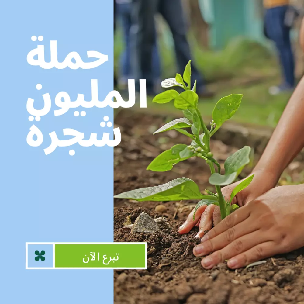 منشورات سوشيل ميديا