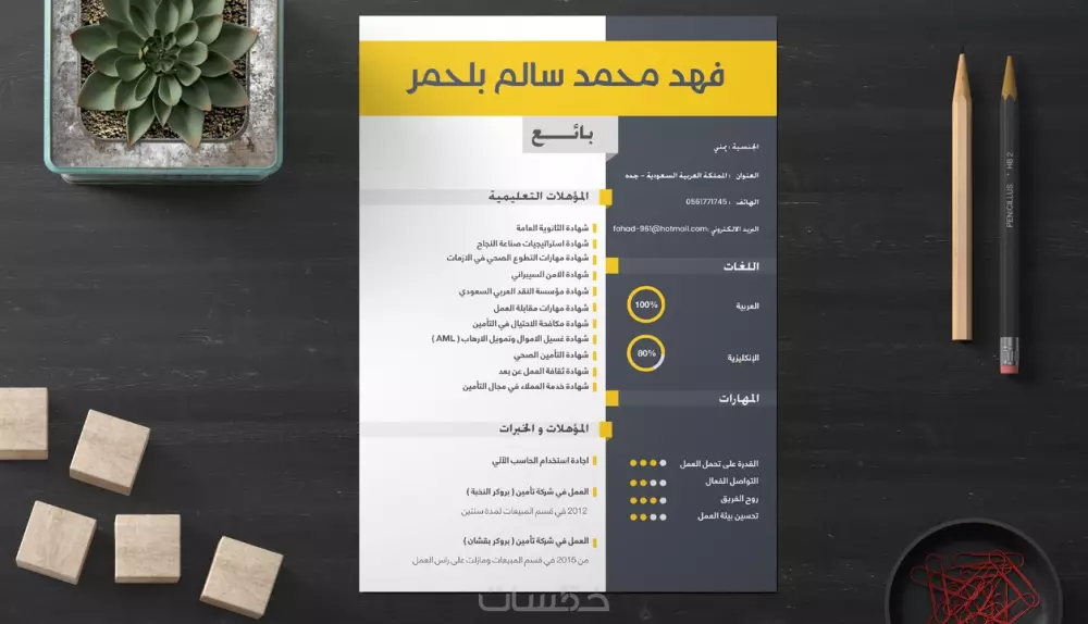 تصميم سيرة ذاتية