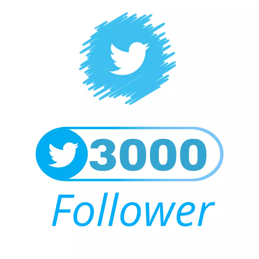 تزويد 3000 متابع تويتر