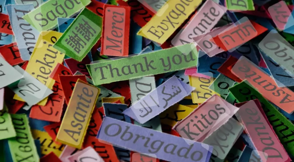 ترجمة ولغات