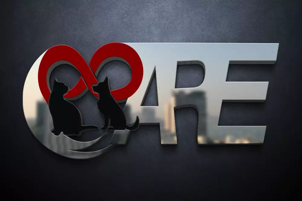 تصميم شعار احترافى فى مده قصيره