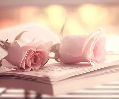 سأقوم بتأليف أجمل قصة أو رواية مميزة