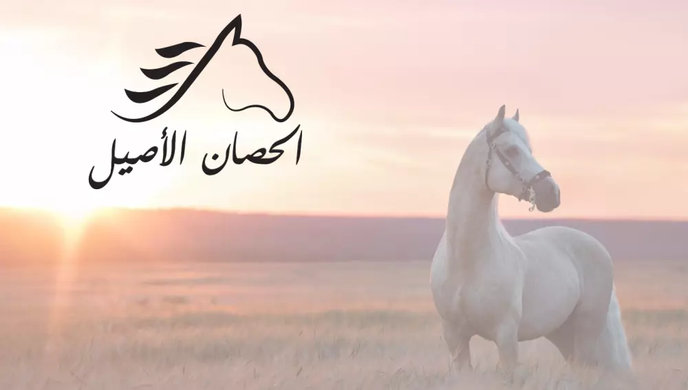 تصميم شعار كرتوني احترافي وجذاب