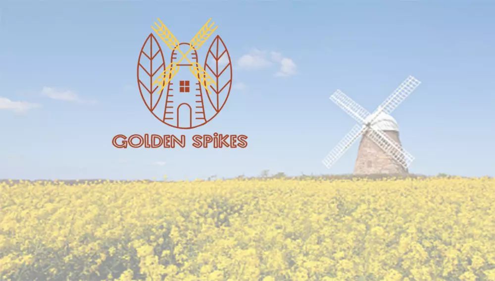 تصميم شعار كرتوني احترافي وجذاب