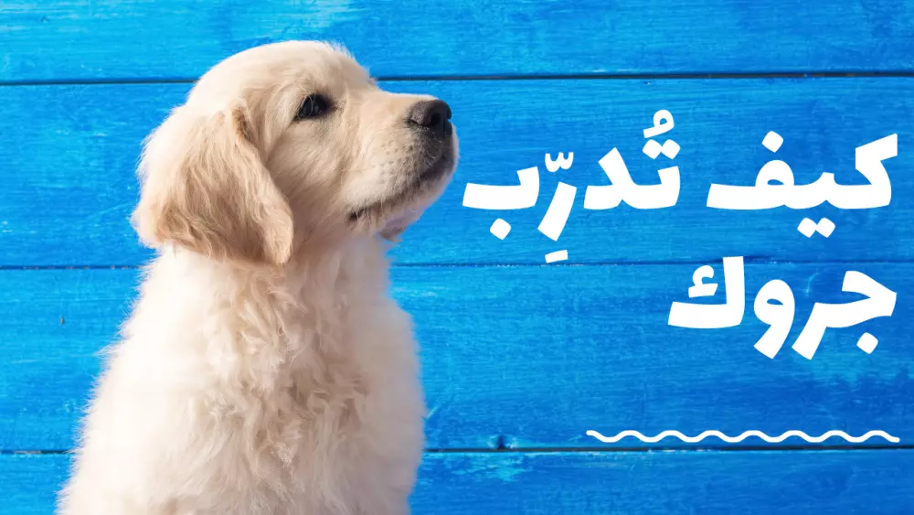 تصميم صورة مصغرة احترافية لليوتيوب