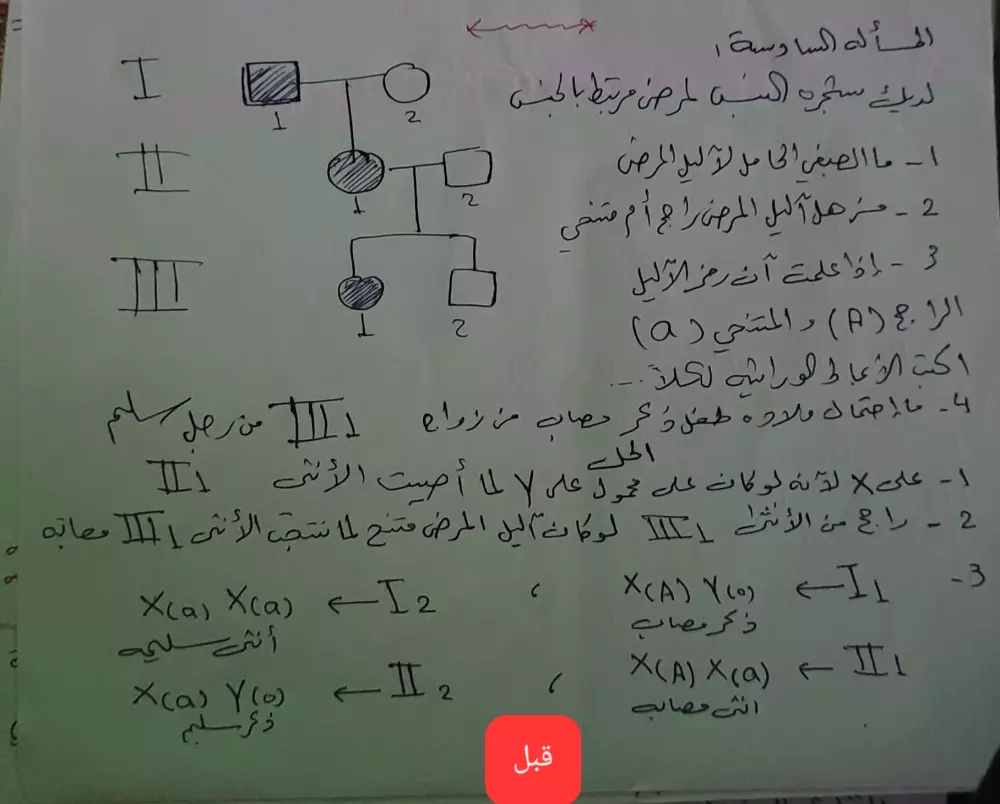 تفريغ الملفات سواء صور أو pdf أو Scanner على برنامج ال Word