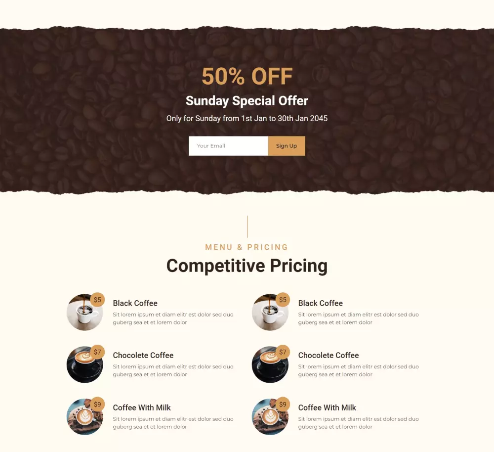 برمجة وتصميم صفحة هبوط وردبريس