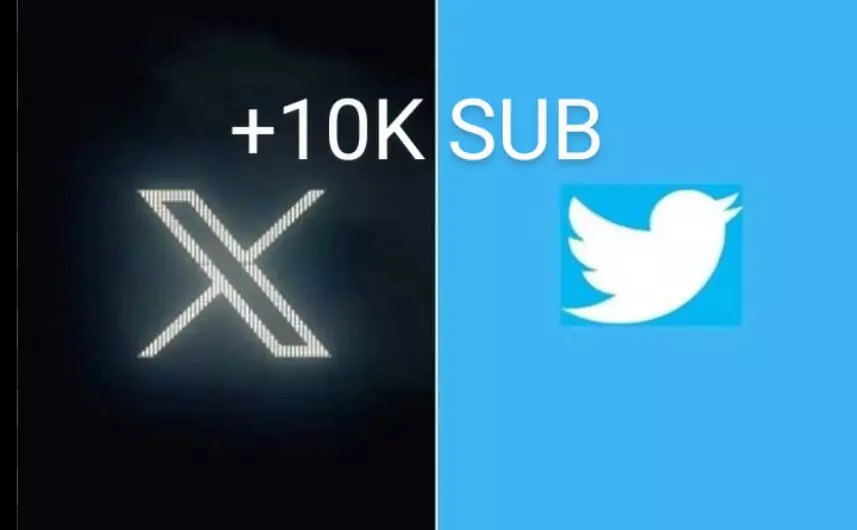 حساب تويتر انشاء 2008 عدد المتابعين 10k+