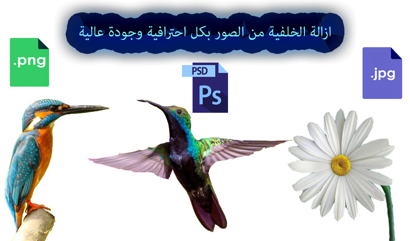 سأعمل لك على إزالة الخلفية من الصور لـ 10 صور ب 5$ فقط