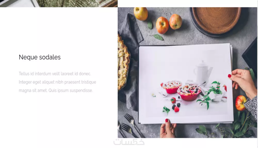 تصميم وبرمجة موقع شخصي (portfolio)