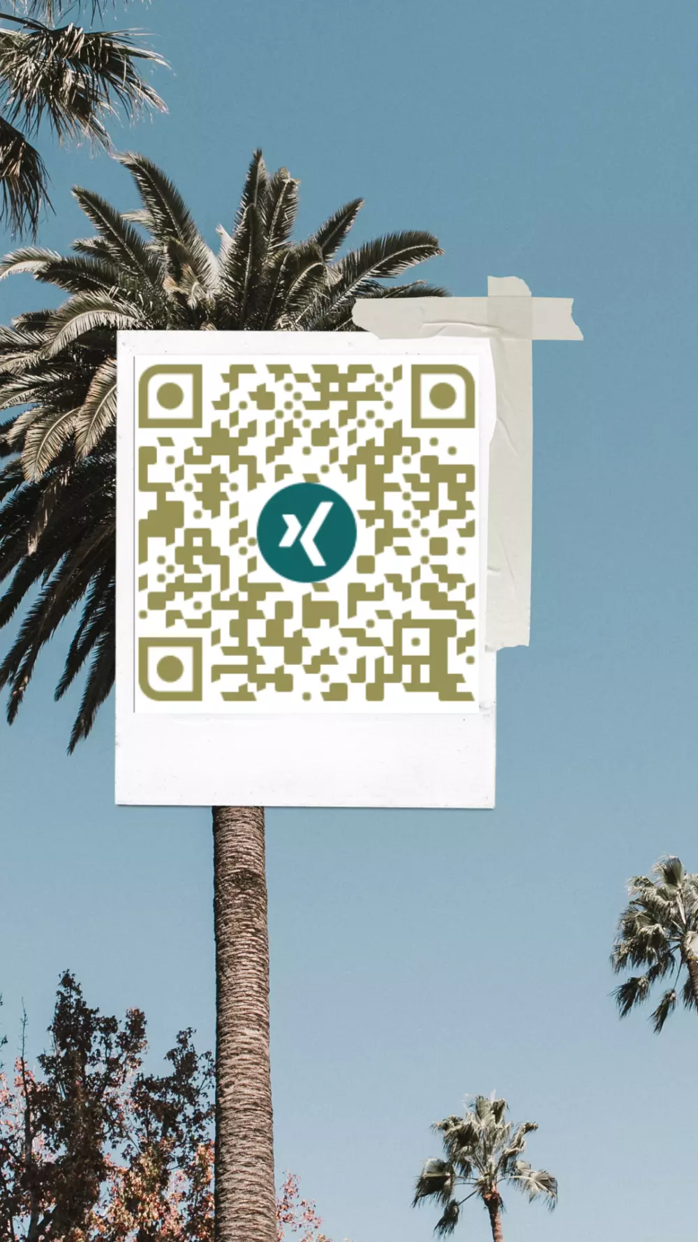 تصميم QR CODE إحترافي