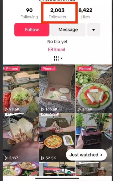 زيادة مشاهدات ومتابعين تيكتوك حقيقيين بصورة شخصيه