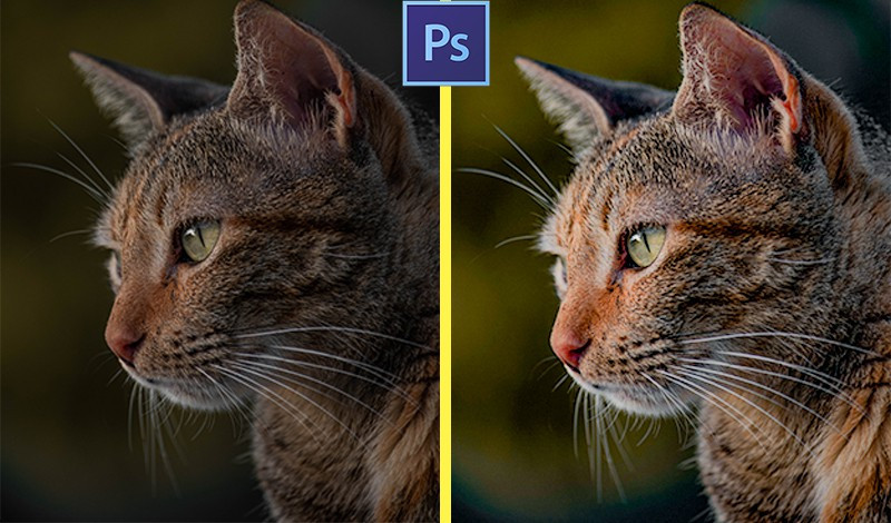 تعديل الصور بشكل احترافي