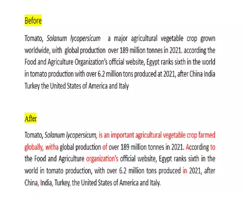 تدقيق لغوي لرسائل الماجستير والدكتوراة والكتب والمقالات