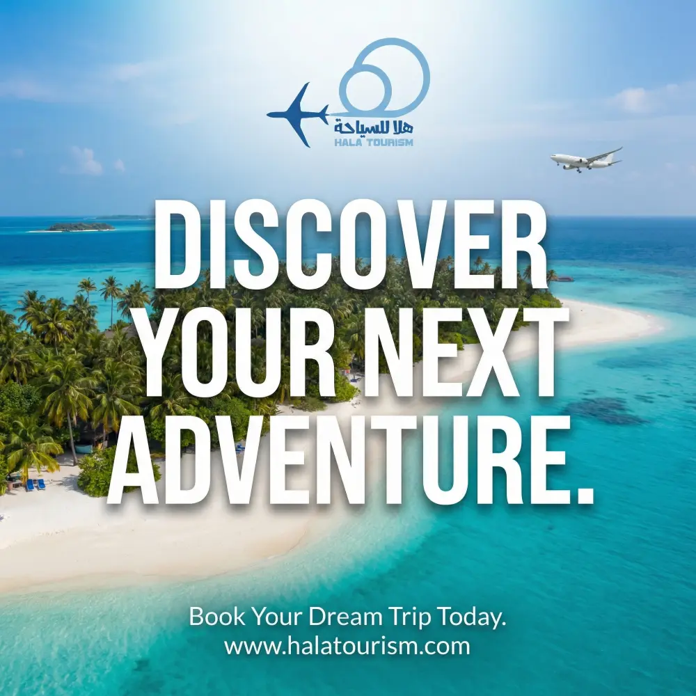 تصميم هوية بصرية متكاملة تشمل لوجو احترافي، ألوان وهوية البراند، خطوط، وتصميمات سوشيال ميديا مع ملف إرشادات للاستخدام.