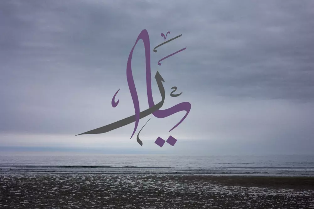 تصاميم بالخط العربي