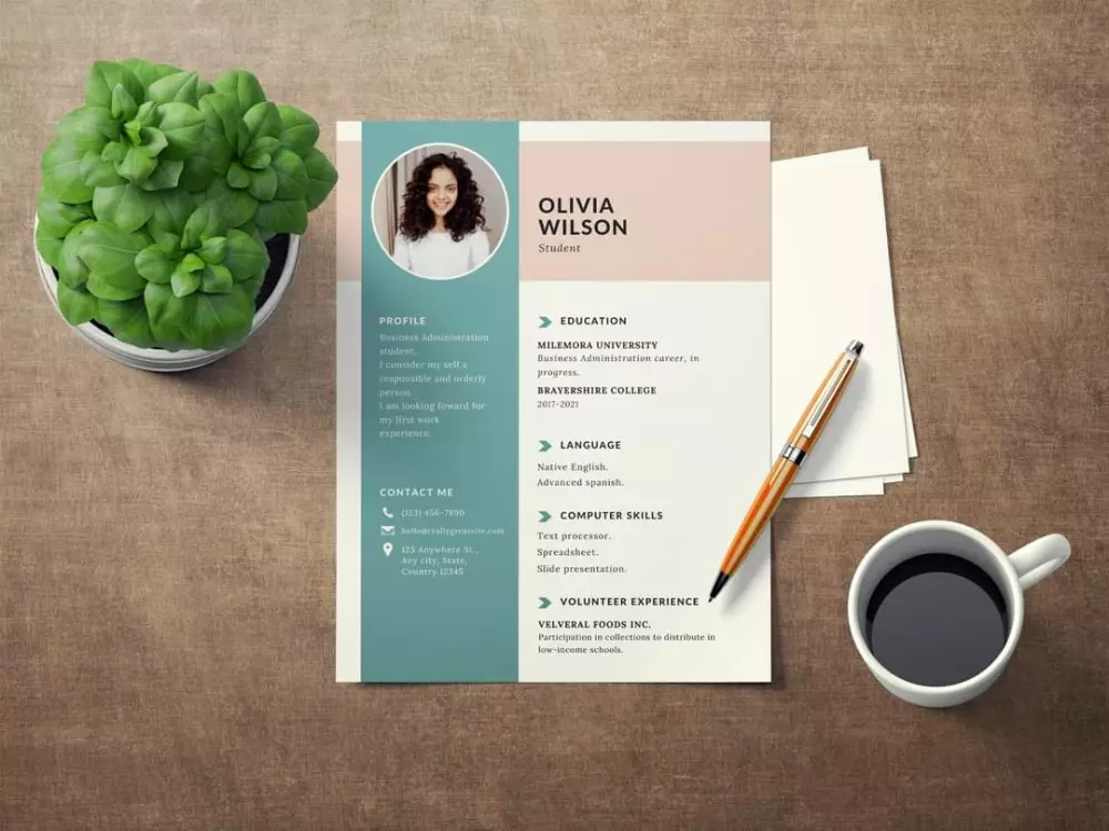 تصميم السيرة الذاتية - CV Maker