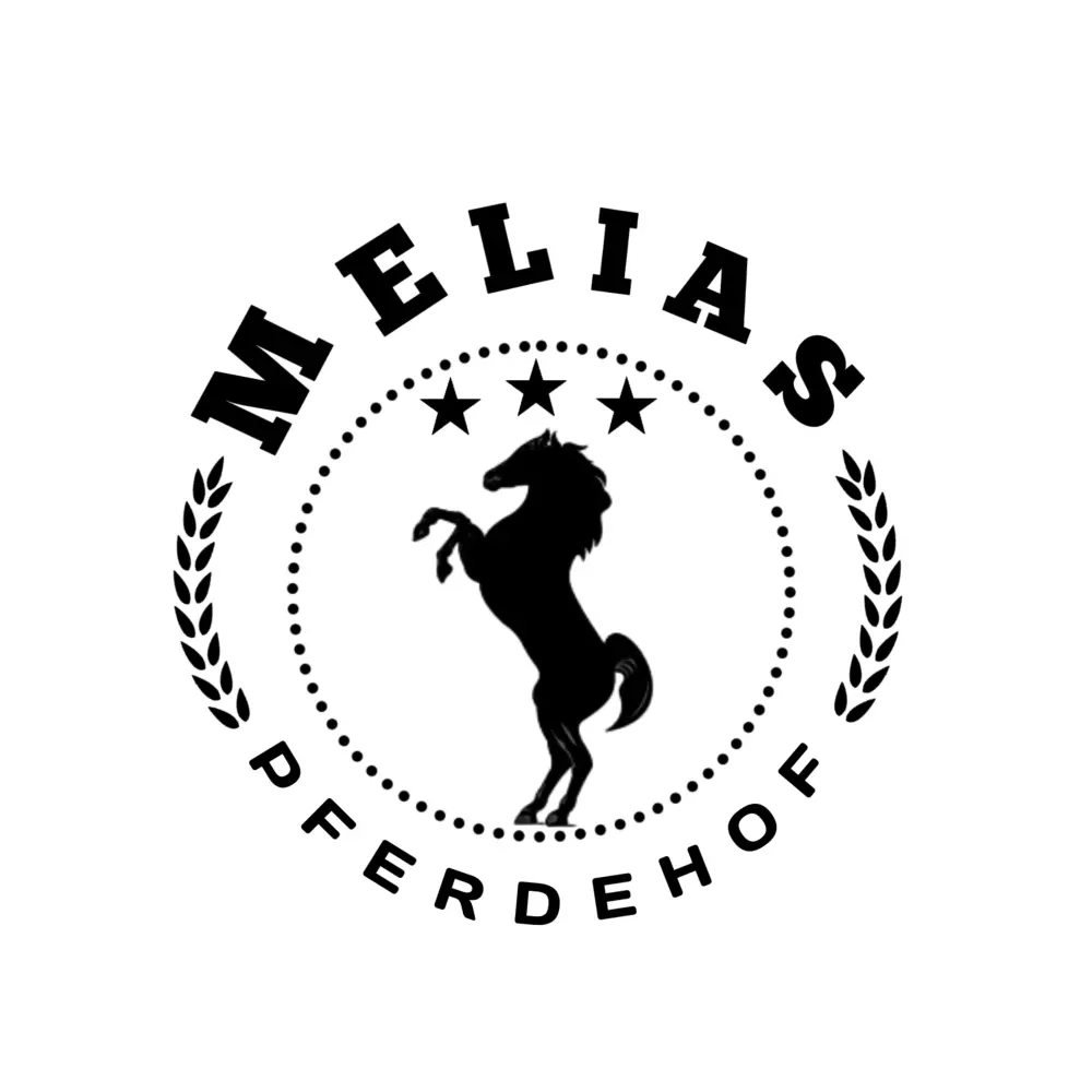 تصميم شعار (لوجو) احترافي ومتميز لشركتك او لمشروعك