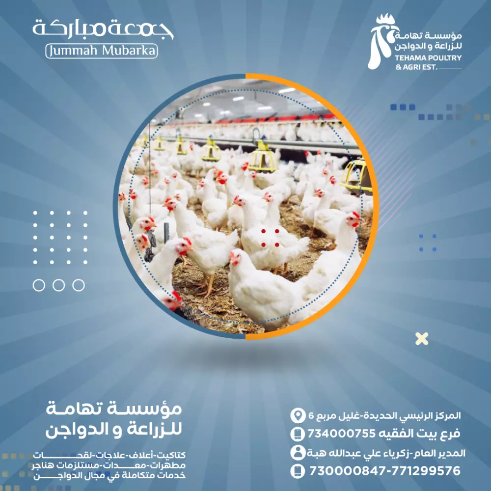 تصميم بوست احترافي للسوشال ميديا