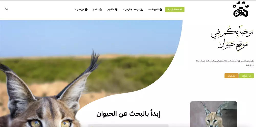 انشاء موقع- مدونه او متجر عبر وردبريس متجاوب مع جميع الشاشات