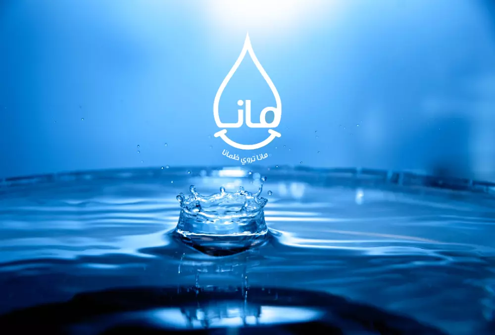 تصميم هوية تجارية كاملة