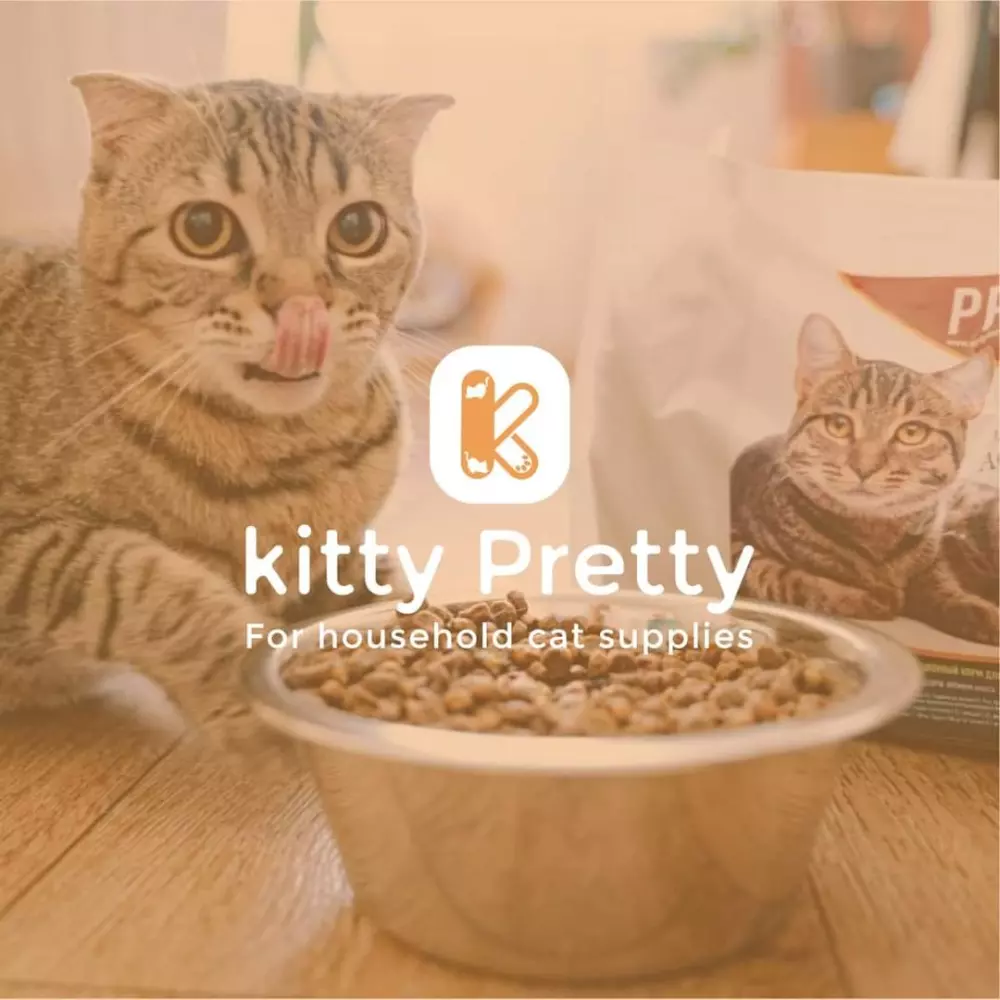 هوية بصرية كامله