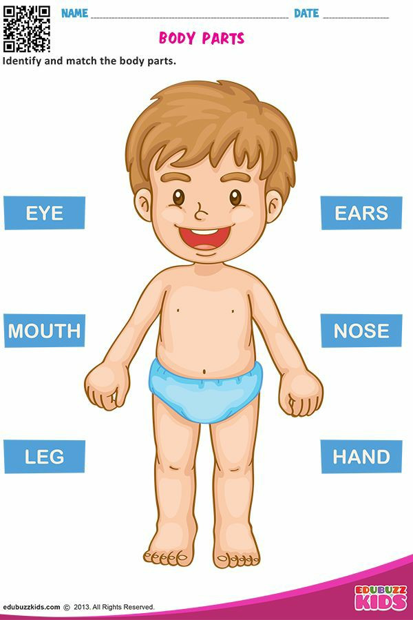 تاليف قصه للاطفال علميه تشرح جزء من اجزاء الجسم