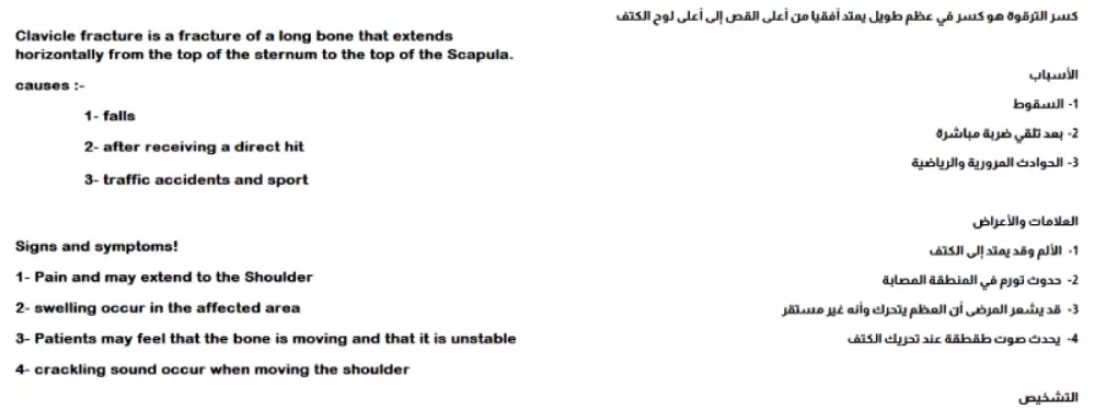 ترجمة احترافية من الإنجليزية إلى العربية أو العربية إلى الإنجليزية