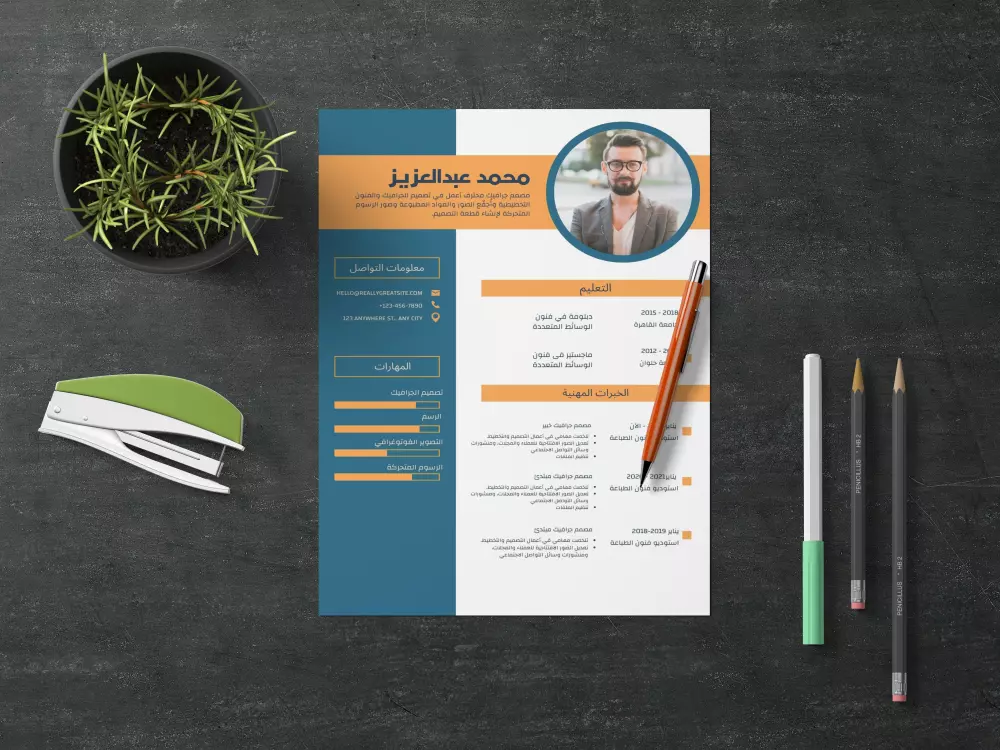 تصميم سيرة ذاتية CV بشكل احترافي وجذاب