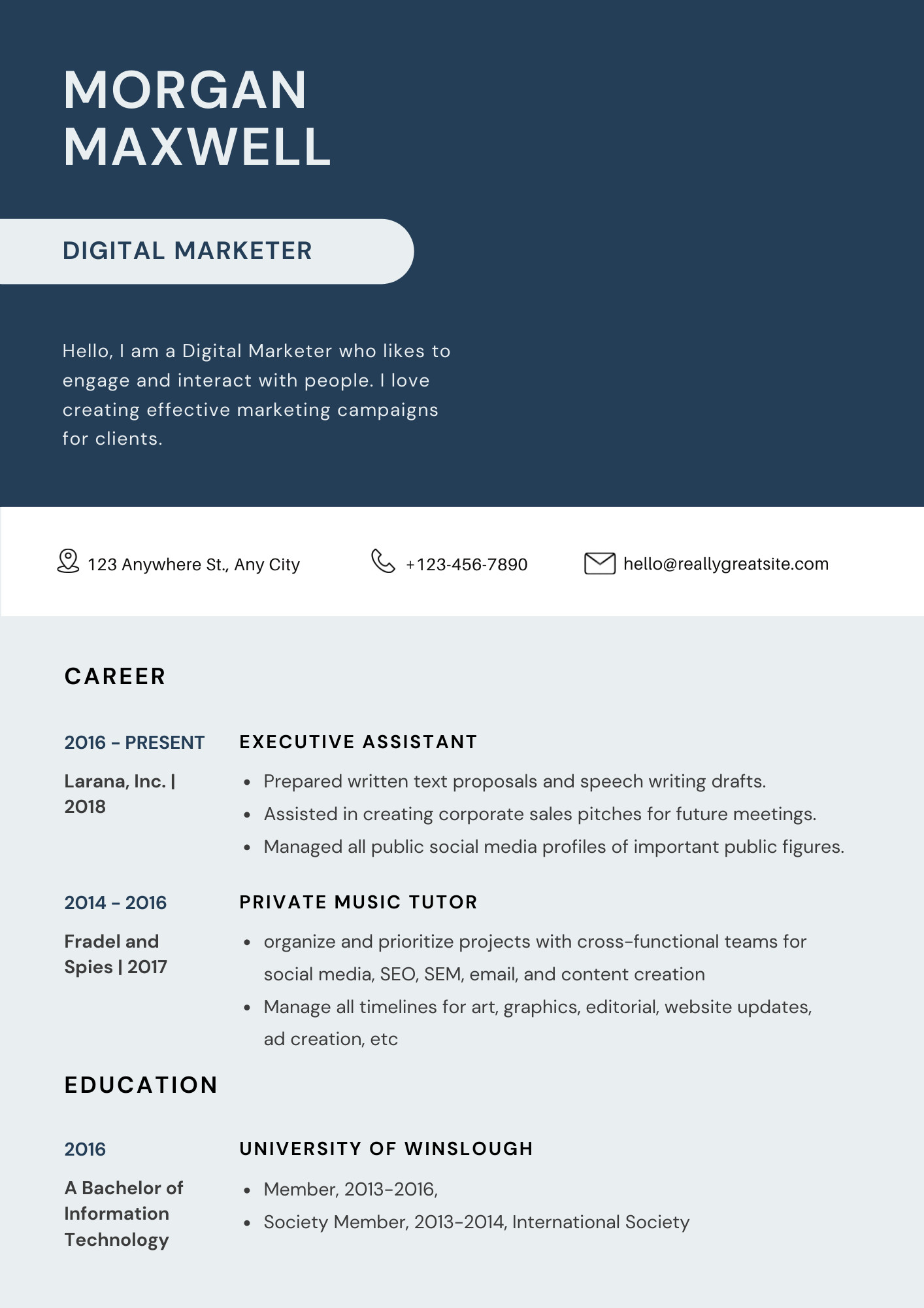 تصميم السيرة الذاتية انفوجرافيك Infographic CV Design
