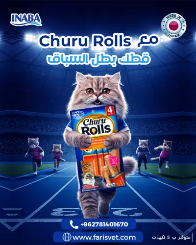 تصميمات سوشيال ميديا