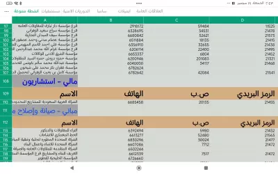 قاعدة بيانات أكثر من 25,000 شركة سعودية متنوعة | محدّثة وجاهزة للاستخدام