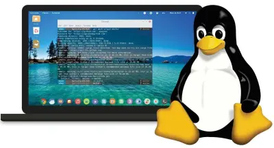 إصلاح أخطاء سيرفرات Linux وحل مشاكل الشبكات والخدمات تقنياً